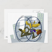 Carte Postale race de rat (Devant / Derrière)