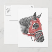 Carte Postale Race Horse Portrait Soies (Devant / Derrière)