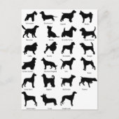 Carte Postale Races de chien (Devant)