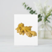 Carte Postale Racine de gingembre (Debout devant)