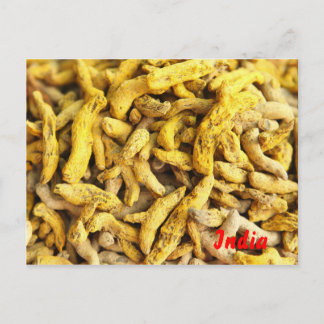 Carte Postale Racines curcumiques