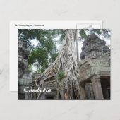 Carte Postale racines de prohm (Devant / Derrière)