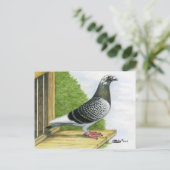 Carte Postale Racing Homer sur le Landing Board (Debout devant)