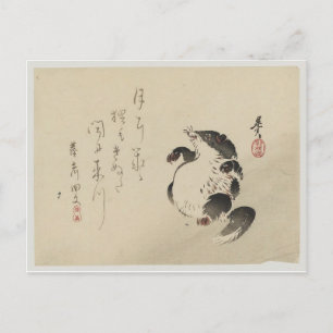 Carte Postale Racoon-dog (Tanuki) par Shibata Zeshin