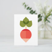 Carte Postale Radis (Debout devant)