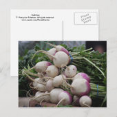 Carte Postale Radis (Devant / Derrière)