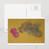 Carte Postale Radis de Valya (Devant / Derrière)