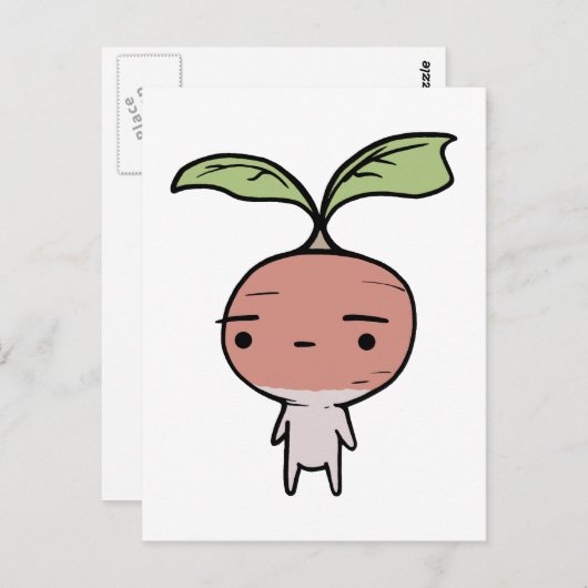 Carte Postale Radish (Devant / Derrière)