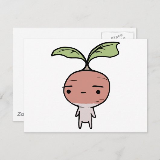 Carte Postale Radish (Devant / Derrière)