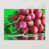 Carte Postale Radish (Devant)