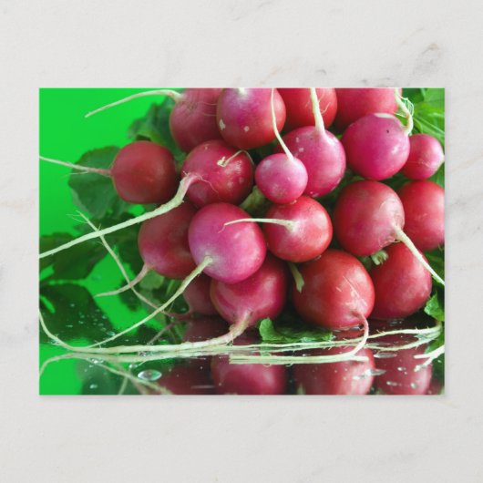 Carte Postale Radish (Devant)