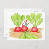 Carte postale Radish Garden Gnome (Devant / Derrière)