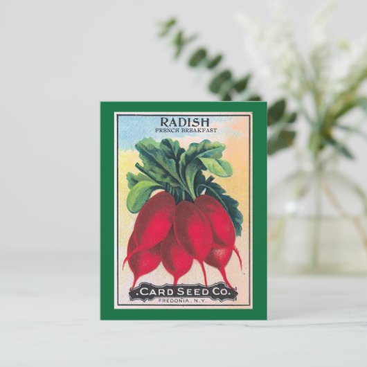 Carte Postale Radish Seed Packet (Debout devant)