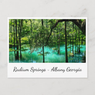 Carte Postale Radium Springs ~ Albany Georgia