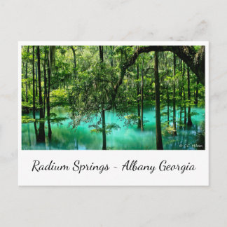 Carte Postale Radium Springs ~ Albany Georgia