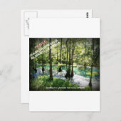 Carte Postale RADIUM SPRINGS - Albany, Géorgie (Devant / Derrière)