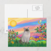 Carte Postale Ragdoll Cat (Point Bleu) - Day Star (Devant / Derrière)