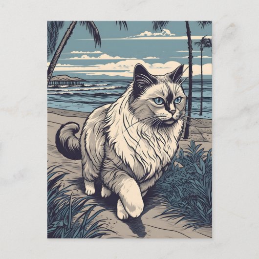 Carte Postale Ragdoll-Cat sur une plage tropicale au coucher du (Devant)