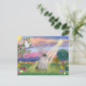 Carte Postale Ragdoll Chat (Point Bleu) - Angel Cloud (Debout devant)