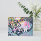 Carte Postale Ragdoll Kittens (Debout devant)