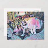 Carte Postale Ragdoll Kittens (Devant / Derrière)