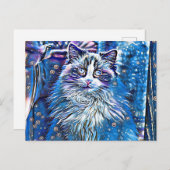 Carte Postale Ragdoll mignon yeux bleus (Devant / Derrière)