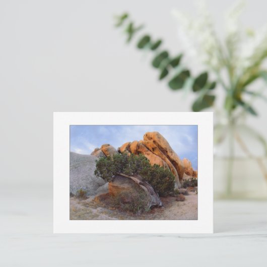 Carte Postale "Raid Back Juniper" (Debout devant)