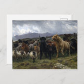 Carte Postale Raid Rosa Bonheur Highland (Devant / Derrière)