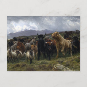 Carte Postale Raid Rosa Bonheur Highland