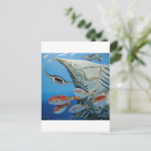 Carte Postale raies manta (Debout devant)