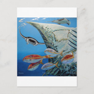 Carte Postale raies manta
