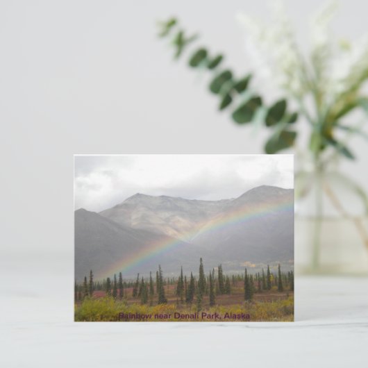 Carte postale Rainbow (Debout devant)
