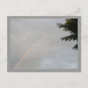 Carte postale Rainbow