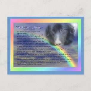 Carte Postale Rainbow Bridge Poem Pet perte de la sympathie