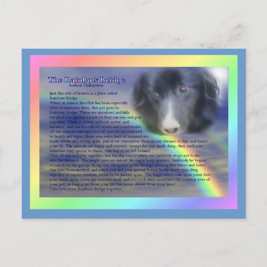 Carte Postale Rainbow Bridge Poem Pet perte de la sympathie (Devant)