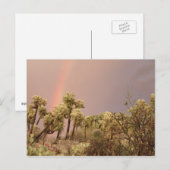 Carte postale Rainbow Desert (Devant / Derrière)