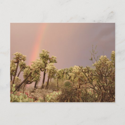 Carte postale Rainbow Desert (Devant)