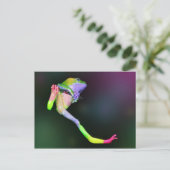Carte postale Rainbow Frog (Debout devant)