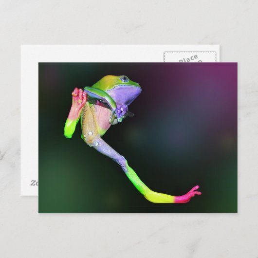 Carte postale Rainbow Frog (Devant / Derrière)
