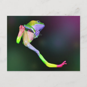 Carte postale Rainbow Frog