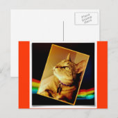 Carte Postale Rainbow Indigo (Devant / Derrière)