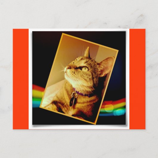 Carte Postale Rainbow Indigo (Devant)