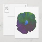 Carte postale Rainbow Petunia (Devant / Derrière)