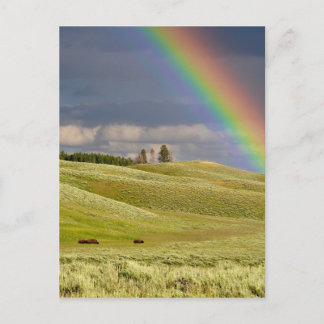 Carte Postale Rainbow Skies Office Personnaliser Destiny Destiny