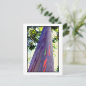 Carte Postale Rainbow Tree (Debout devant)
