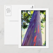 Carte Postale Rainbow Tree (Devant / Derrière)