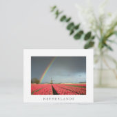 Carte postale Rainbow, tulipe et moulin Pays-Bas (Debout devant)