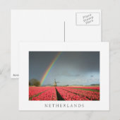 Carte postale Rainbow, tulipe et moulin Pays-Bas (Devant / Derrière)