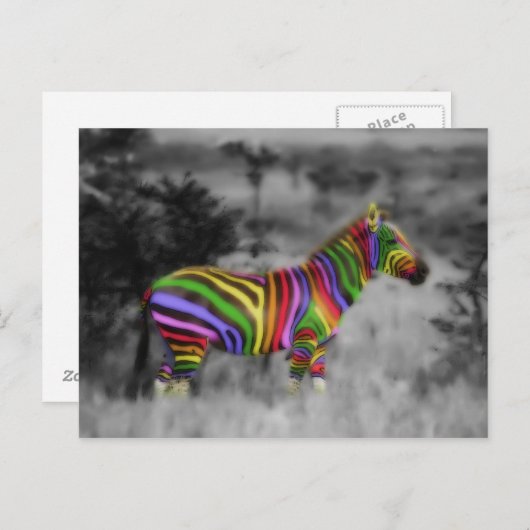 Carte Postale Rainbow Zebra (Devant / Derrière)