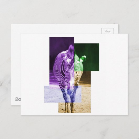 Carte Postale Rainbow Zebra (Devant / Derrière)